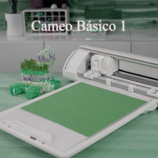 01 Silhouette Básico 1