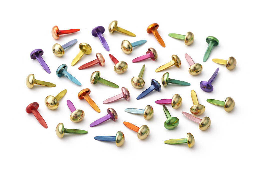 Brads Multicolor