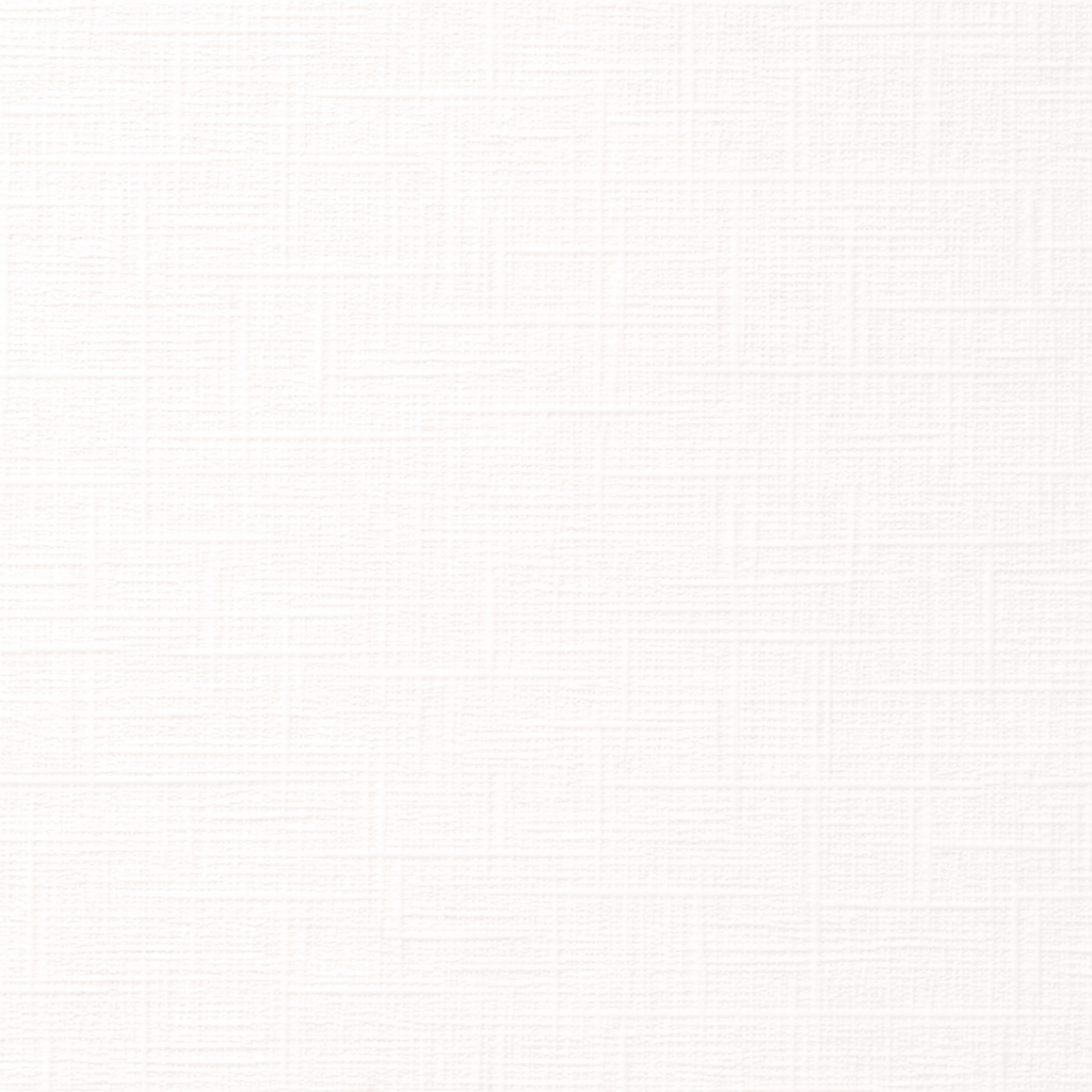 Paquete Cartulina Lino