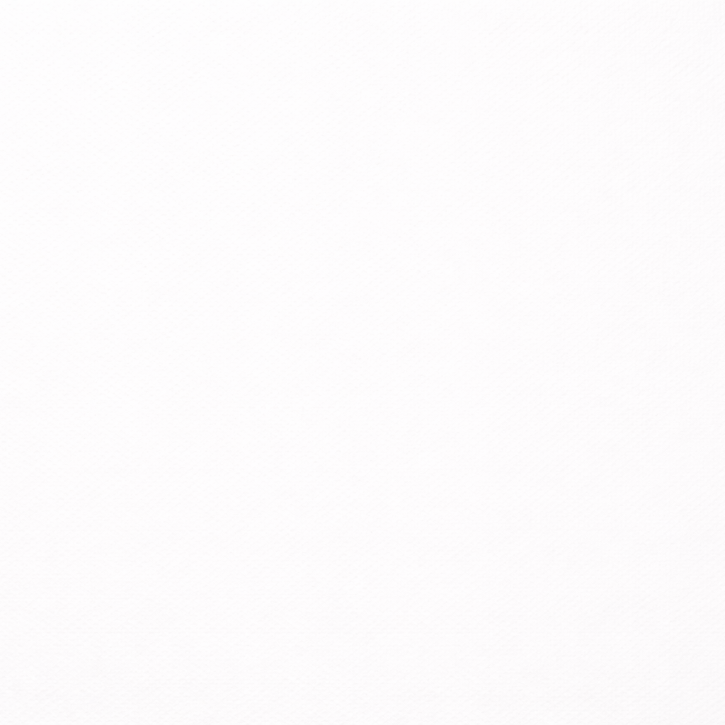 Paquete Cartulina OPALINA