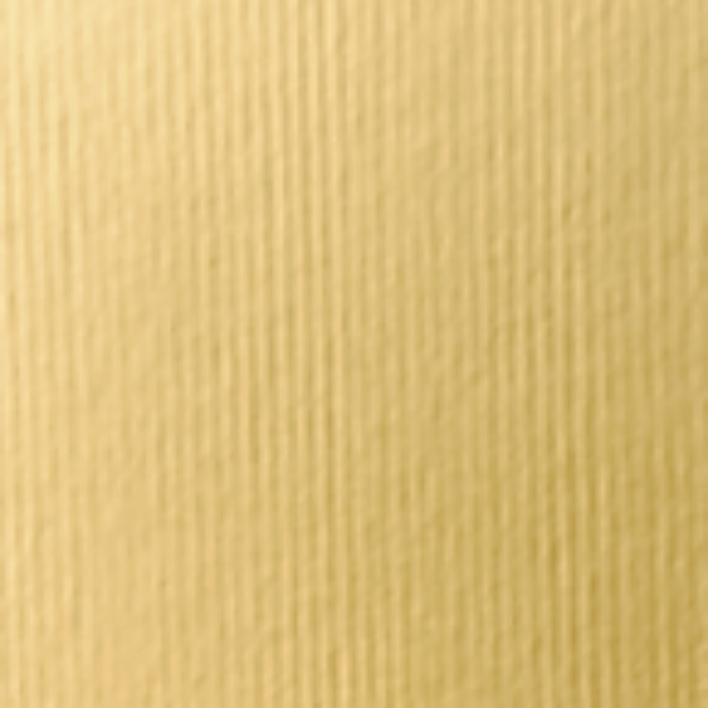 Cartulinas Texturizadas 24x24