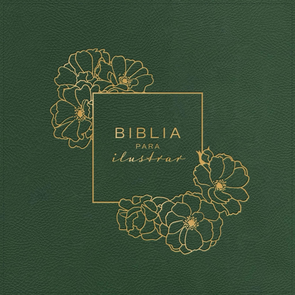 Biblia para Ilustrar Verde
