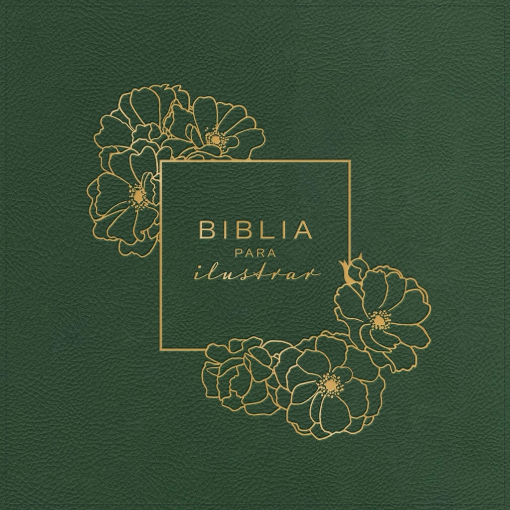 Biblia para Ilustrar Verde