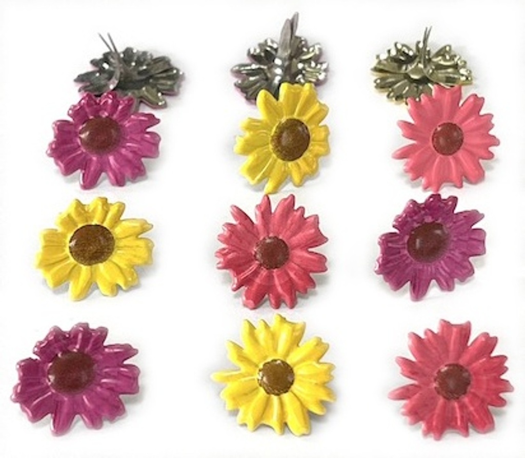 Brads Margaritas de Colores