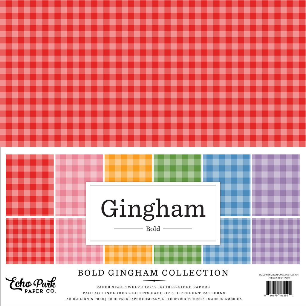 Bold Gingham - Echo Park - Papeles de Colección 12x12 Premium