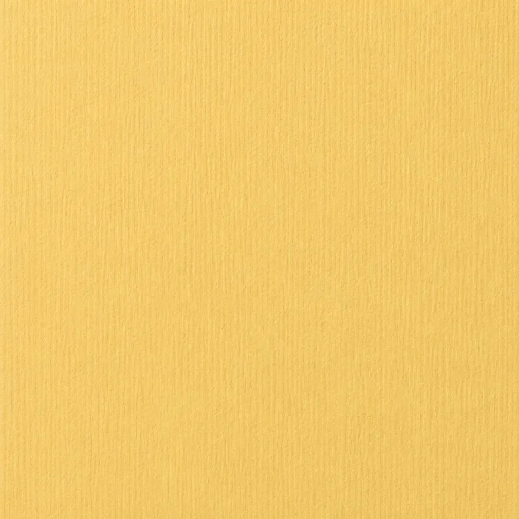 Cartulinas Texturizadas 12x24