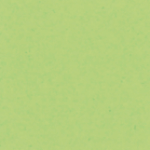 [152061] Cartulina Sirio Verde Citrus 12x24