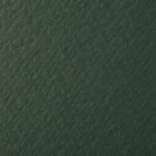 [SPP/TEXTURADO  WASABI 24X24] Cartulina Texturizada Wasabi 24x24