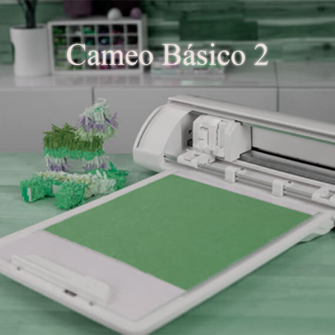 02 Silhouette Básico 2